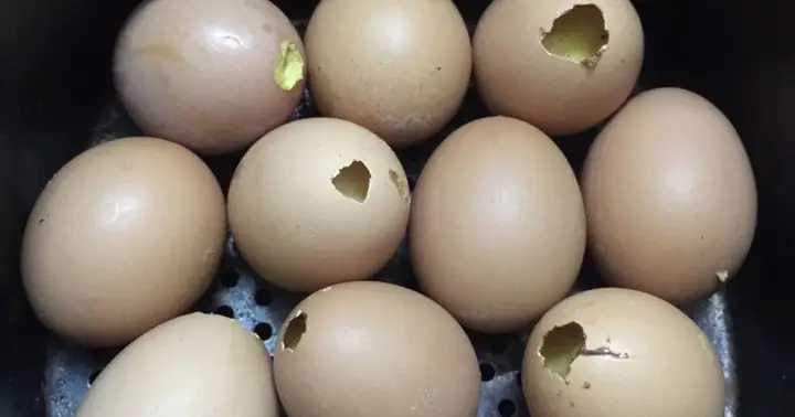 10+ Cách Làm Món Ăn Vặt Từ Trứng Gà Đơn Giản, Ngon Miệng Tại Nhà