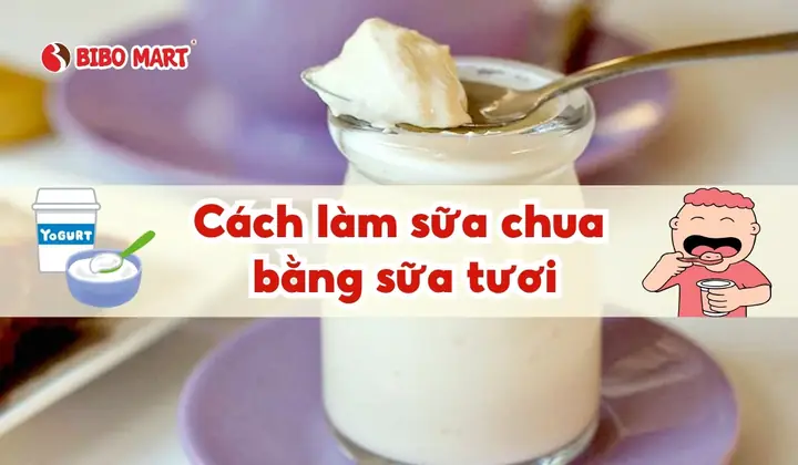Làm Sữa Chua Bằng Sữa Tươi Có Đường Được Không