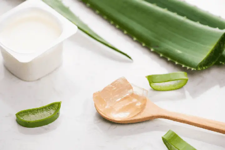 Hướng Dẫn Chi Tiết Cách Làm Sữa Chua Nha Đam Thơm Ngon, Bổ Dưỡng Tại Nhà