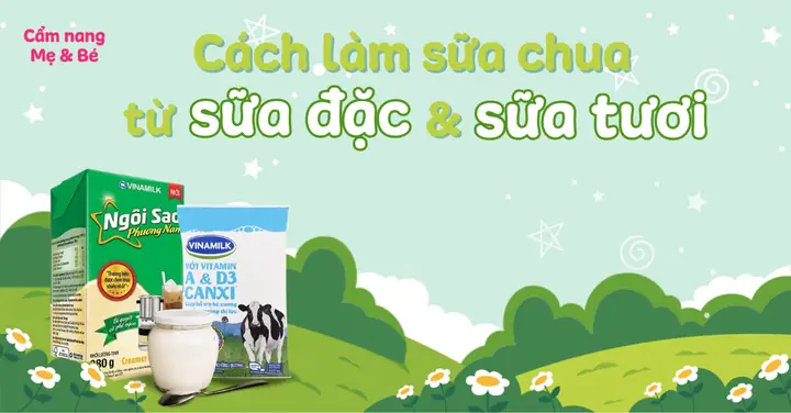 Hướng Dẫn Làm Sữa Chua Từ Sữa Tươi Và Sữa Đặc Tại Nhà Chuẩn Vị, Bổ Dưỡng