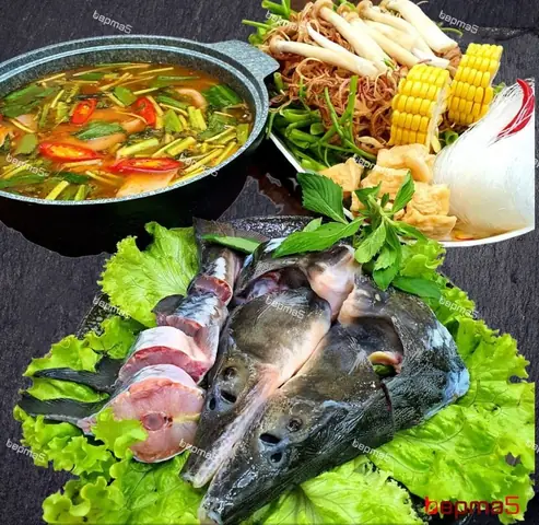 Đánh Giá Chi Tiết Lẩu Cá Tầm Măng Đen: So Sánh 4 Thương Hiệu Hot Nhất
