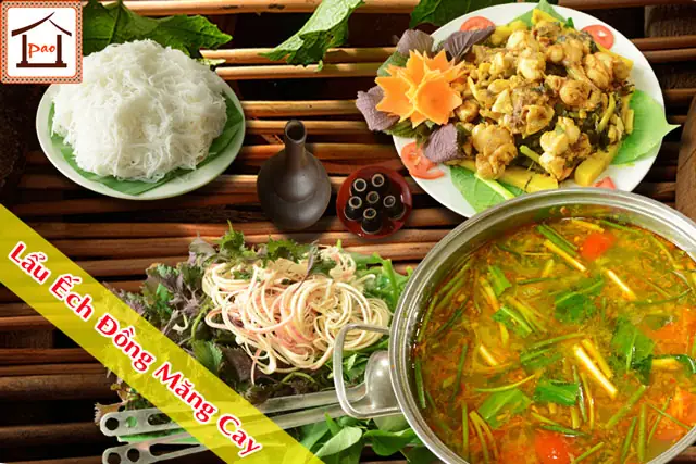 Lẩu Ếch Măng Cay Ăn Với Rau Gì Ngon Nhất? Top 10 Loại Rau Không Thể Bỏ Qua Lẩu Ếch Măng Cay Ăn Với Rau Gì Ngon Nhất? Top 10 Loại Rau Không Thể Bỏ Qua