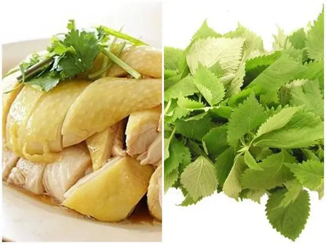 Lẩu Gà Ăn Rau Gì Ngon Và Chuẩn Vị Nhất? Gợi Ý 15 Loại Rau "hết Sảy"