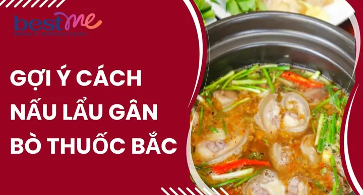 Lẩu Gân Bò Thuốc Bắc: Khám Phá Bí Quyết Món Ngon Bổ Dưỡng