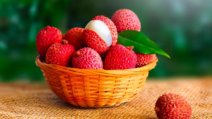 Lệ Chi Là Quả Gì? Nguồn Gốc, Công Dụng Và Ý Nghĩa Trong Y Học Lệ Chi Là Quả Gì? Nguồn Gốc, Công Dụng Và Ý Nghĩa Trong Y Học