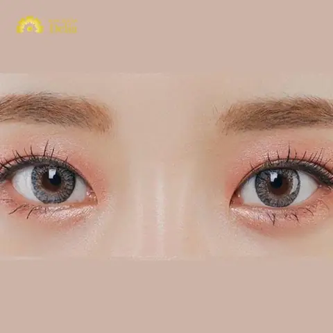 Lệ Chi Là Quả Gì? Nguồn Gốc, Công Dụng Và Ý Nghĩa Trong Y Học Lệ Chi Là Quả Gì? Nguồn Gốc, Công Dụng Và Ý Nghĩa Trong Y Học