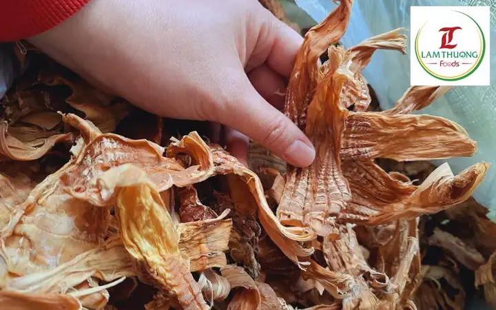 Các Loại Măng Ngon Nhất Trong Ẩm Thực Việt Nam: Đặc Điểm, Phân Biệt & Gợi Ý Chế Biến