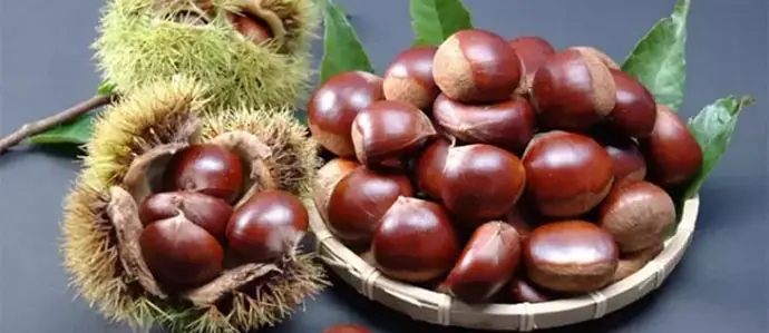 Cách Luộc Hạt Dẻ Bằng Lò Vi Sóng Thơm Ngon, Bùi Bùi Chỉ Trong Vài Phút Cách Luộc Hạt Dẻ Bằng Lò Vi Sóng Thơm Ngon, Bùi Bùi Chỉ Trong Vài Phút