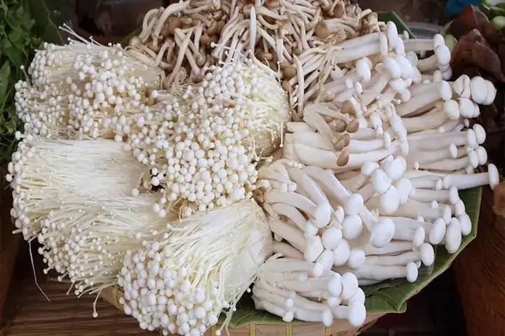 Luộc Nấm Kim Châm Trong Bao Lâu? Bí Quyết Để Có Món Nấm Giòn Ngon Chuẩn Vị