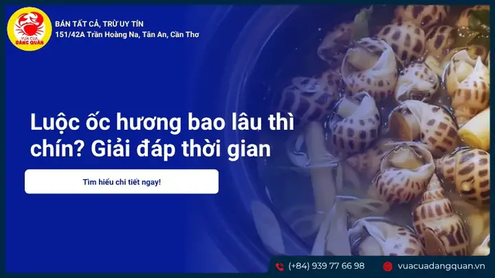 Luộc Ốc Trong Bao Lâu Là Ngon Nhất Và An Toàn Cho Sức Khỏe? Luộc Ốc Trong Bao Lâu Là Ngon Nhất Và An Toàn Cho Sức Khỏe?