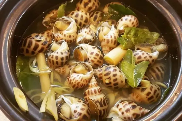 Luộc Ốc Trong Bao Lâu Là Ngon Nhất Và An Toàn Cho Sức Khỏe? Luộc Ốc Trong Bao Lâu Là Ngon Nhất Và An Toàn Cho Sức Khỏe?