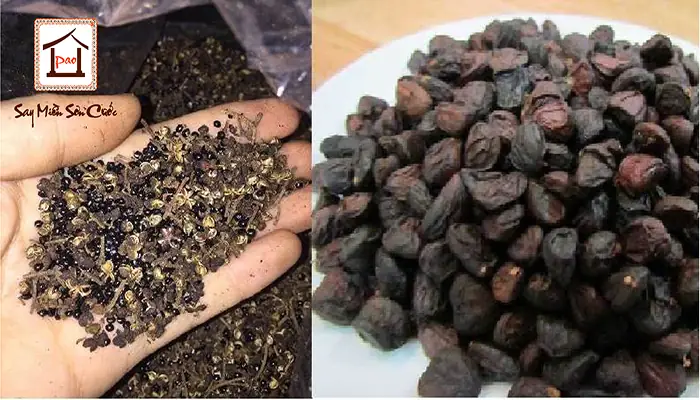 Mắc Khén Hạt Dổi Là Gì? Khám Phá Gia Vị Đặc Sản Núi Rừng Và Công Dụng Bất Ngờ