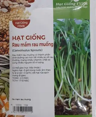 Top 10+ Địa Chỉ Mua Mầm Rau Muống Sạch, Giá Tốt, Uy Tín Nhất Hiện Nay Top 10+ Địa Chỉ Mua Mầm Rau Muống Sạch, Giá Tốt, Uy Tín Nhất Hiện Nay