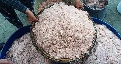 Mắm Ruốc Làm Từ Gì? Khám Phá Thành Phần Và Quy Trình制作 Mắm Ruốc Làm Từ Gì? Khám Phá Thành Phần Và Quy Trình制作