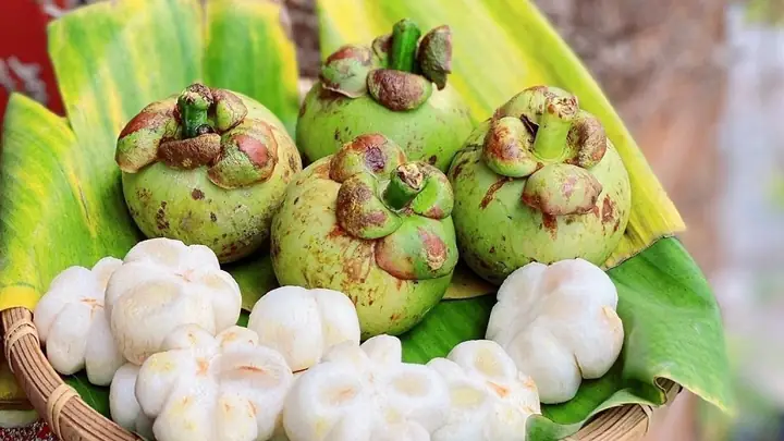 Khám Phá Vị Ngon Đặc Biệt Của Măng Cụt Sống Chấm Đường Khám Phá Vị Ngon Đặc Biệt Của Măng Cụt Sống Chấm Đường