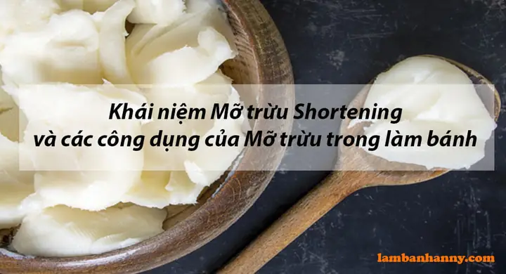 Mỡ Trừu Dùng Để Làm Gì? Công Dụng Và Lợi Ích Bất Ngờ Từ Mỡ Động Vật