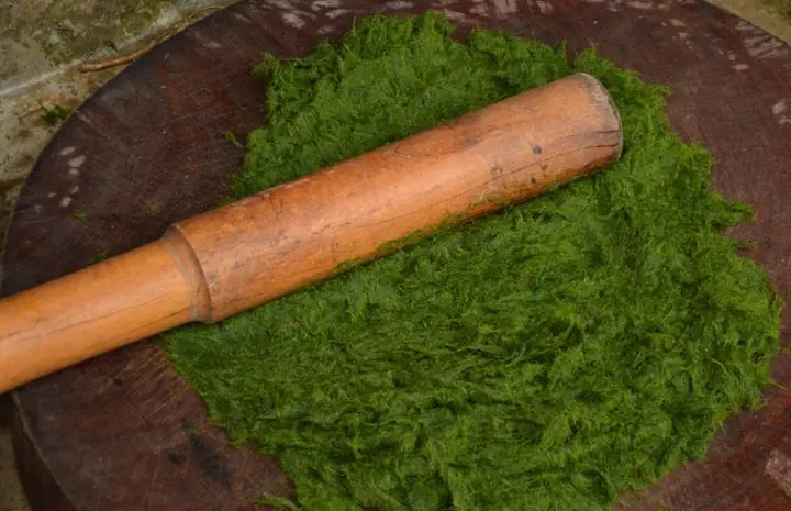 Khám Phá Vẻ Đẹp Văn Hóa Ẩm Thực Qua Các Món Ăn Dân Tộc Thái Khám Phá Vẻ Đẹp Văn Hóa Ẩm Thực Qua Các Món Ăn Dân Tộc Thái