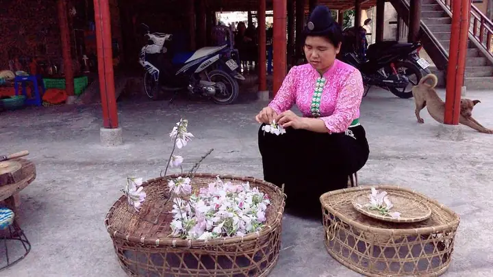 Khám Phá Vẻ Đẹp Văn Hóa Ẩm Thực Qua Các Món Ăn Dân Tộc Thái Khám Phá Vẻ Đẹp Văn Hóa Ẩm Thực Qua Các Món Ăn Dân Tộc Thái