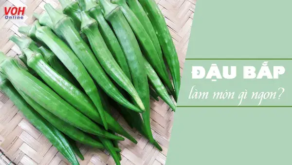 Món Ăn Từ Đậu Bắp: 15+ Cách Chế Biến Dinh Dưỡng, Ngon Miệng Cho Bữa Cơm Gia Đình