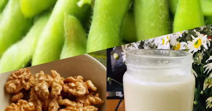 10+ Món Ăn Từ Đậu Nành Tươi Thơm Ngon, Bổ Dưỡng Dễ Làm Tại Nhà