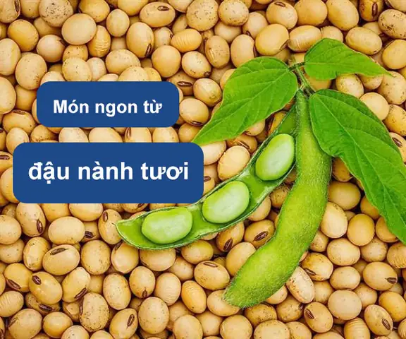 10+ Món Ăn Từ Đậu Nành Tươi Thơm Ngon, Bổ Dưỡng Dễ Làm Tại Nhà