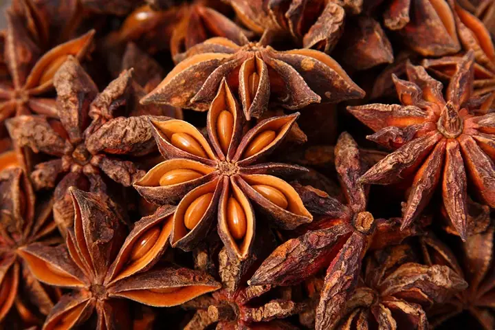 Khám Phá Thế Giới Ẩm Thực Đa Dạng Từ Hương Liệu Hoa Hồi