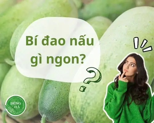 Khám Phá 15 Món Ăn Với Bí Đao Bổ Dưỡng, Dễ Làm Cho Bữa Cơm Gia Đình