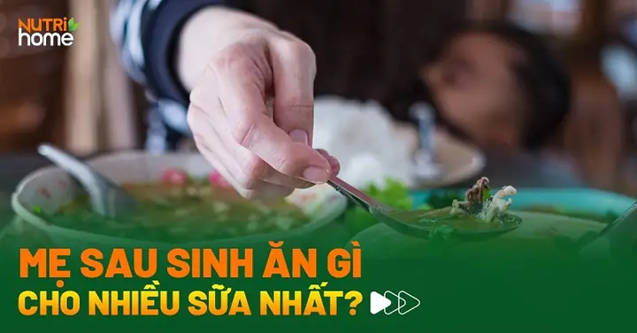 Món Canh Cho Bà Đẻ: Gợi Ý 10+ Công Thức Bổ Dưỡng, Lợi Sữa, Mau Hồi Phục Món Canh Cho Bà Đẻ: Gợi Ý 10+ Công Thức Bổ Dưỡng, Lợi Sữa, Mau Hồi Phục