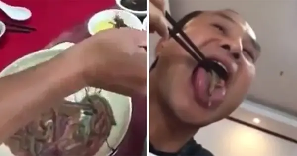 Món Đỉa Xào Trung Quốc: Khám Phá Hương Vị Độc Đáo Và Cách Chế Biến Chuẩn Vị