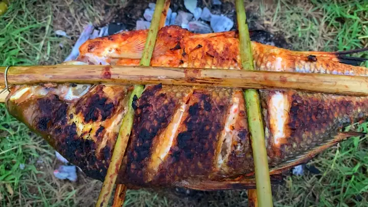 Khám Phá 5 Món Ngon Từ Cá Mè Dinh Không Thể Bỏ Lỡ