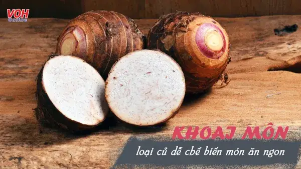 10+ Món Ngon Từ Khoai Cao Dễ Làm, Bổ Dưỡng Cho Cả Gia Đình