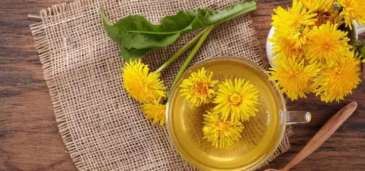 Khám Phá 10 Món Ngon Từ Rau Bồ Công Anh: Từ Salad Mát Lành Đến Canh Bổ Dưỡng Khám Phá 10 Món Ngon Từ Rau Bồ Công Anh: Từ Salad Mát Lành Đến Canh Bổ Dưỡng