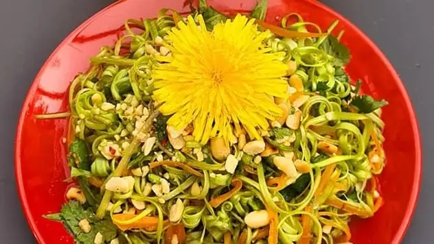 Khám Phá 10 Món Ngon Từ Rau Bồ Công Anh: Từ Salad Mát Lành Đến Canh Bổ Dưỡng Khám Phá 10 Món Ngon Từ Rau Bồ Công Anh: Từ Salad Mát Lành Đến Canh Bổ Dưỡng