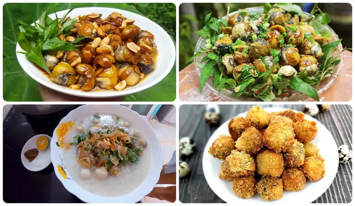 15+ Món Ngon Từ Trứng Cút Lộn: Bí Quyết Chế Biến Đa Dạng, Bổ Dưỡng Cho Gia Đình 15+ Món Ngon Từ Trứng Cút Lộn: Bí Quyết Chế Biến Đa Dạng, Bổ Dưỡng Cho Gia Đình