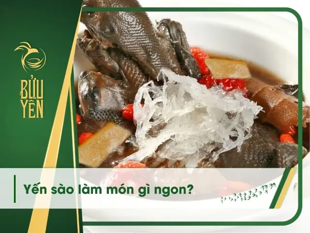 Top 10+ Món Ngon Từ Yến Sào Dễ Làm, Bổ Dưỡng Cho Cả Gia Đình Top 10+ Món Ngon Từ Yến Sào Dễ Làm, Bổ Dưỡng Cho Cả Gia Đình