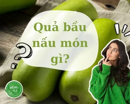 Khám Phá 15+ Món Ngon Với Quả Bầu Đơn Giản, Dễ Làm Tại Gia Đình
