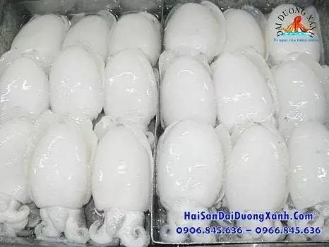 Mực Bầu Là Mực Gì? Khám Phá Đặc Điểm, Phân Loại Và Cách Chế Biến Mực Bầu Là Mực Gì? Khám Phá Đặc Điểm, Phân Loại Và Cách Chế Biến