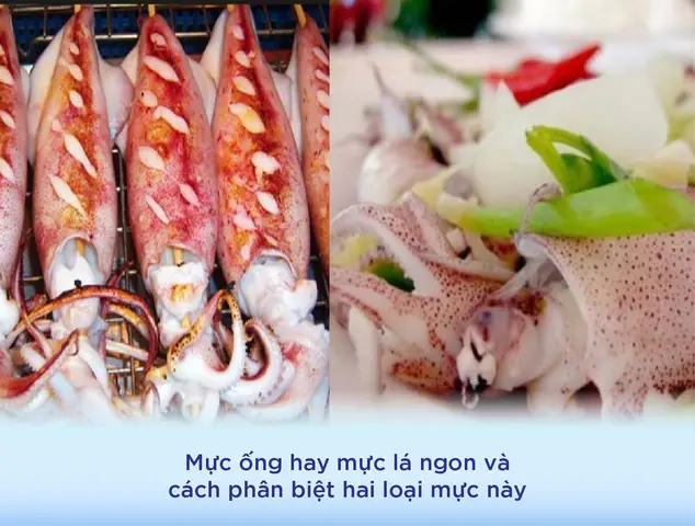So Sánh Mực Ống Và Mực Lá: Đặc Điểm, Giá Trị Dinh Dưỡng Và Cách Chế Biến