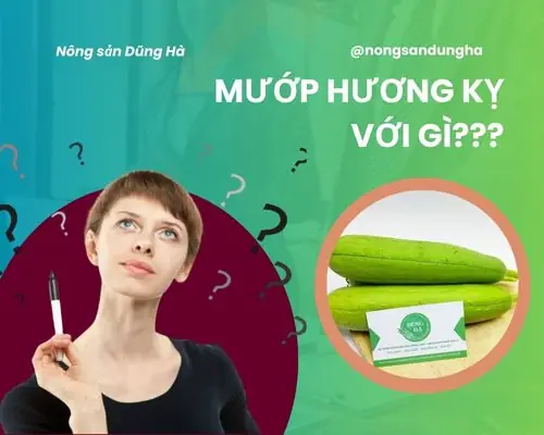 Mướp Hương Kỵ Với Gì? Giải Đáp Chi Tiết Các Nhóm Thực Phẩm Cần Tránh