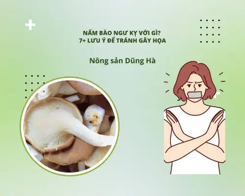 Nấm Bào Ngư Kỵ Với Gì? Những Điều Cấm Kỵ Khi Chế Biến Và Sử Dụng