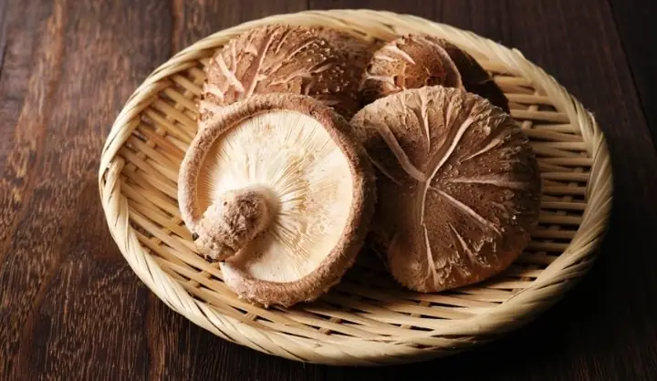 So Sánh Nấm Đông Cô Và Nấm Hương: Đâu Là Lựa Chọn Tốt Nhất Cho Gian Bếp Của Bạn?
