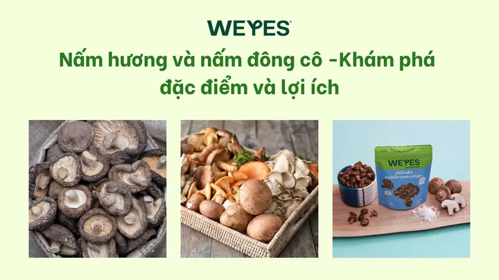 So Sánh Nấm Đông Cô Và Nấm Hương: Đâu Là Lựa Chọn Tốt Nhất Cho Gian Bếp Của Bạn?