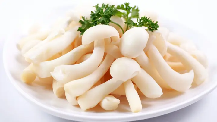 Nấm Hải Sản Bao Nhiêu Calo? Giải Đáp Chi Tiết Cho Chế Độ Ăn Của Bạn