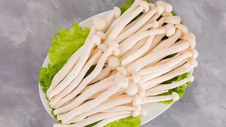 Nấm Hải Sản Bao Nhiêu Calo? Giải Đáp Chi Tiết Cho Chế Độ Ăn Của Bạn