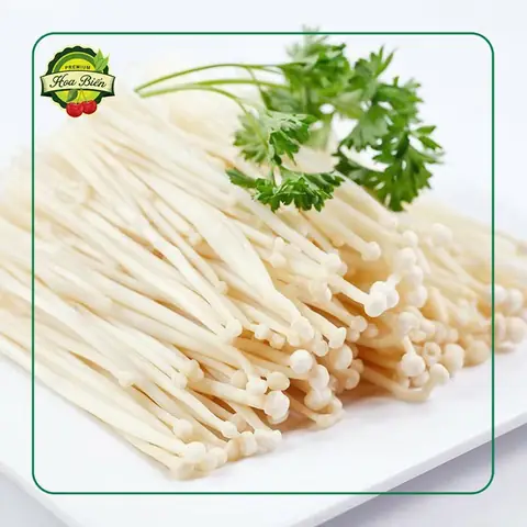 Nấm Kim Châm Để Được Bao Lâu Và Cách Bảo Quản Đúng Chuẩn