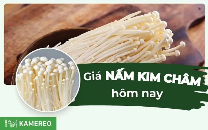 Nấm Kim Châm Giá Bao Nhiêu? Bảng Giá Cập Nhật Mới Nhất Và Các Yếu Tố Quyết Định