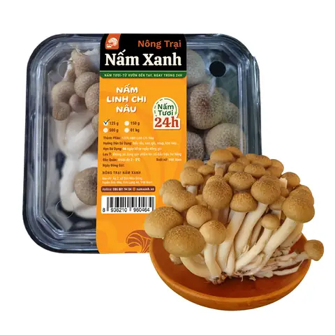 Đánh Giá Chi Tiết Nấm Linh Chi Nâu Tươi: Lợi Ích, Cách Dùng Và Thực Tế Hiệu Quả Đánh Giá Chi Tiết Nấm Linh Chi Nâu Tươi: Lợi Ích, Cách Dùng Và Thực Tế Hiệu Quả