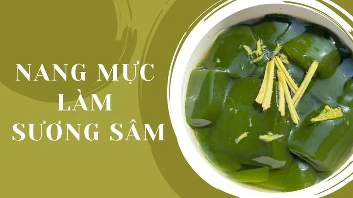 Nang Mực Dùng Để Làm Gì? Lợi Ích Và Công Dụng Trong Y Học, Ẩm Thực