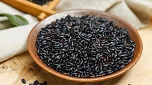 So Sánh Nếp Cẩm Và Nếp Than: Đâu Là Lựa Chọn Tốt Nhất Cho Sức Khỏe Và Bữa Ăn Gia Đình?