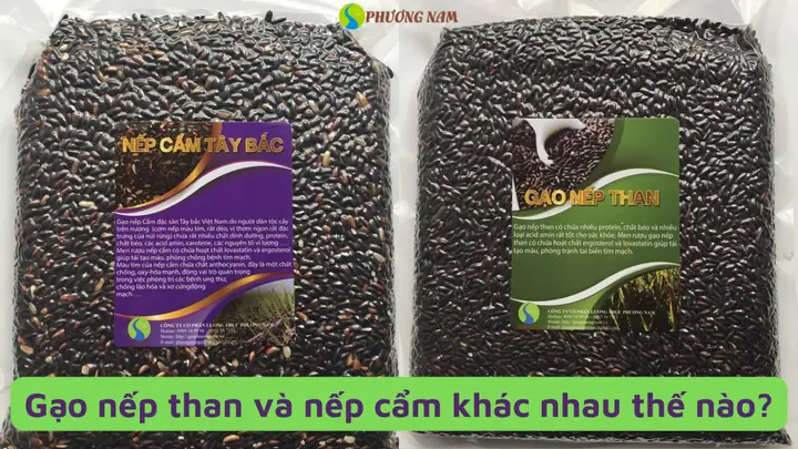 So Sánh Nếp Cẩm Và Nếp Than: Đâu Là Lựa Chọn Tốt Nhất Cho Sức Khỏe Và Bữa Ăn Gia Đình?